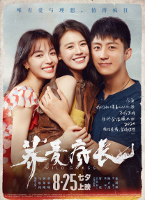 姐姐珍贵的约定